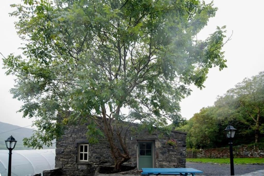Fermoyle Properties Glynn'S Cottage Fanore 외부 사진
